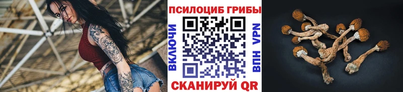 наркотики  Верхний Уфалей  omg маркетплейс  нарко площадка состав  Галлюциногенные грибы ЛСД 